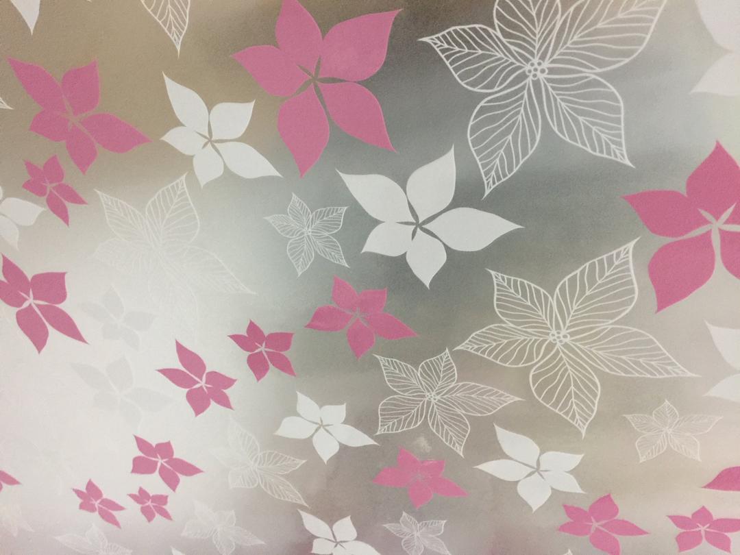 Decal Cuộn Kính Mờ Hoa 5 Cánh Khổ 0.9m