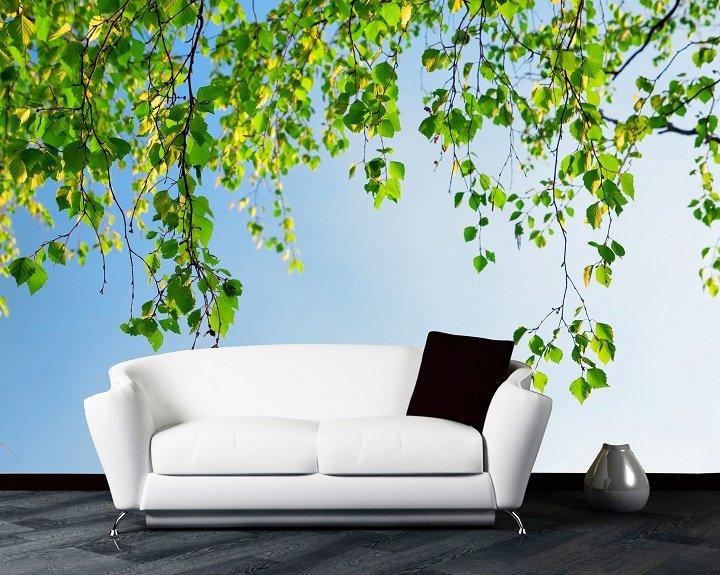 Tranh dán tường tán cây ngoài trời nắng