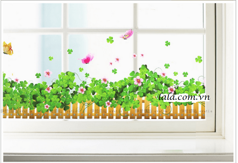 Ảnh sản phẩm