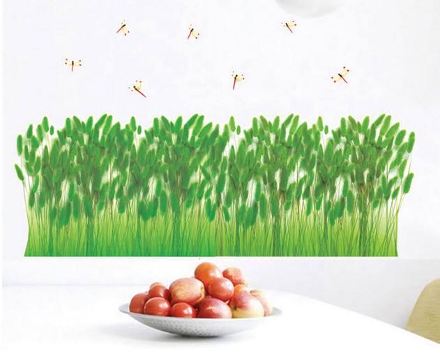 Ảnh sản phẩm