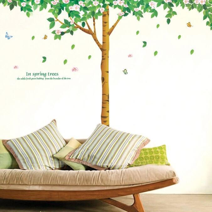 Ảnh sản phẩm