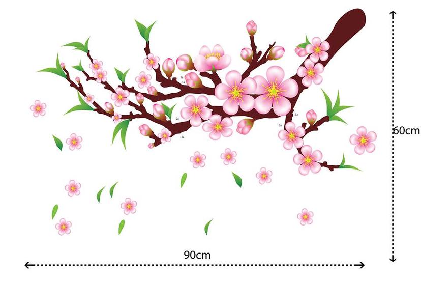 Ảnh sản phẩm