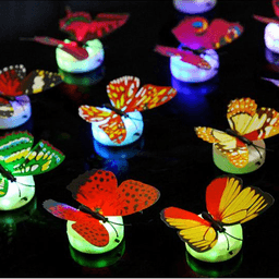 Ảnh sản phẩm