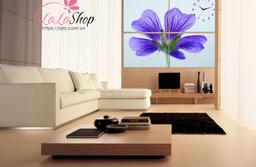 Ảnh sản phẩm