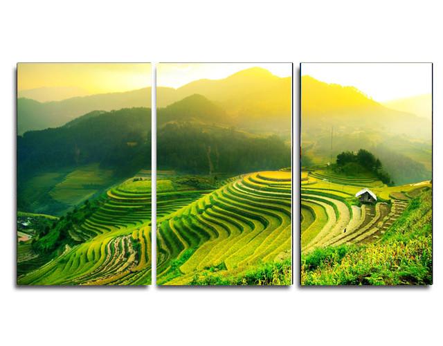 Ảnh sản phẩm