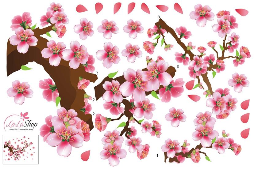 Ảnh sản phẩm