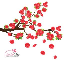 Ảnh sản phẩm