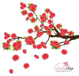 Ảnh sản phẩm