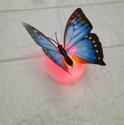 Ảnh sản phẩm