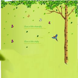 Ảnh sản phẩm