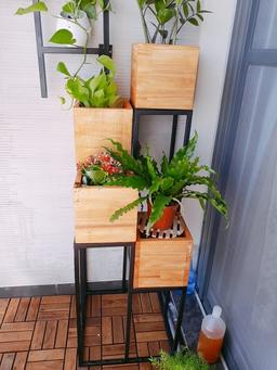 Ảnh sản phẩm