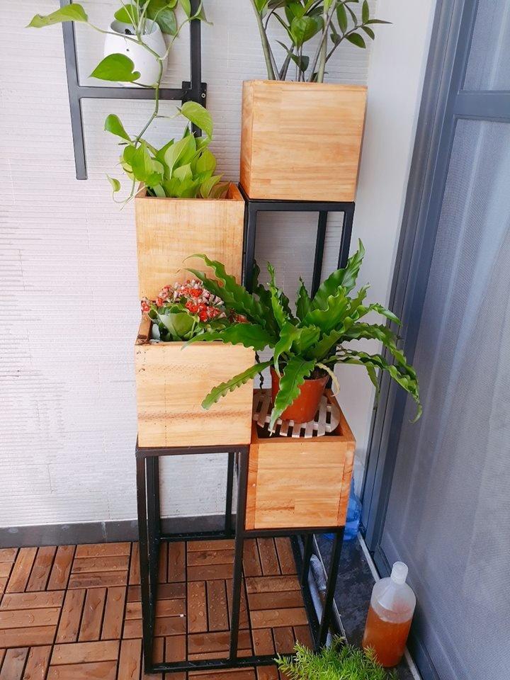 Ảnh sản phẩm