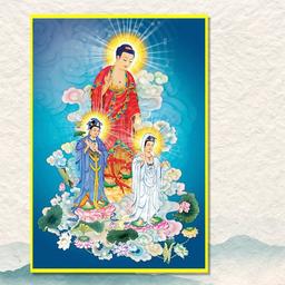 Ảnh sản phẩm