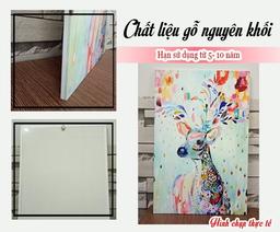 Ảnh sản phẩm