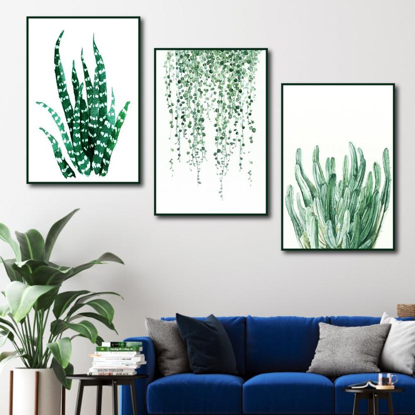 Ảnh sản phẩm