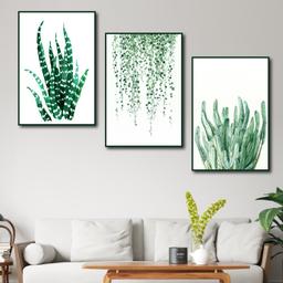 Ảnh sản phẩm