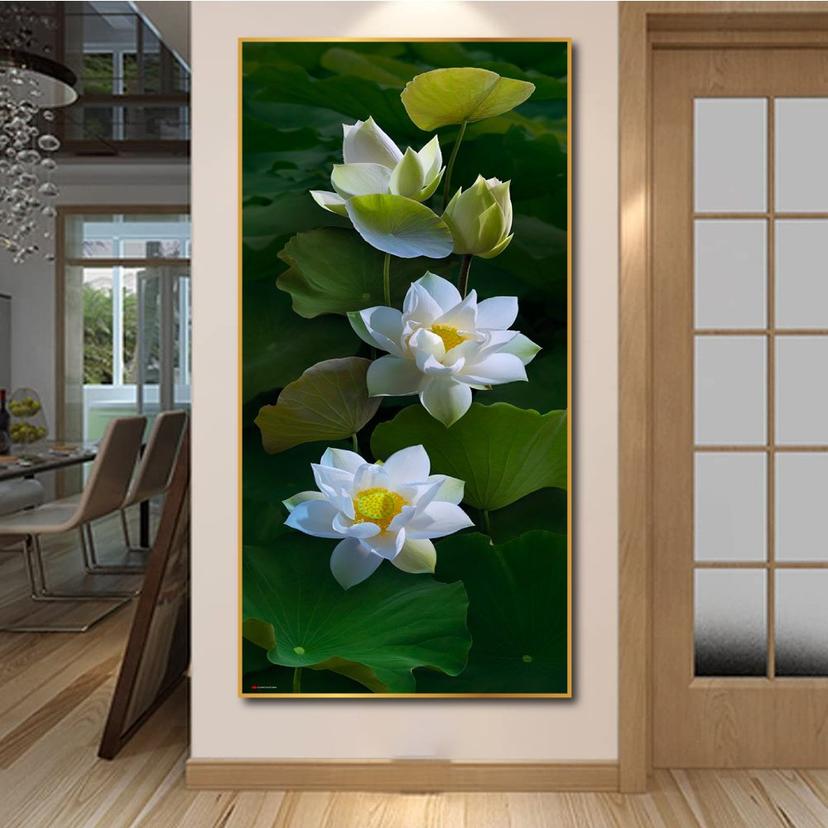 Ảnh sản phẩm