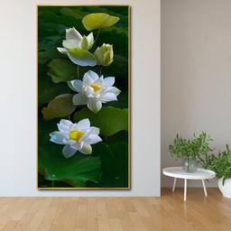 Ảnh sản phẩm