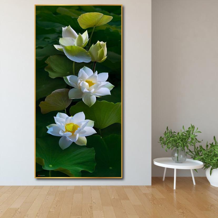 Ảnh sản phẩm