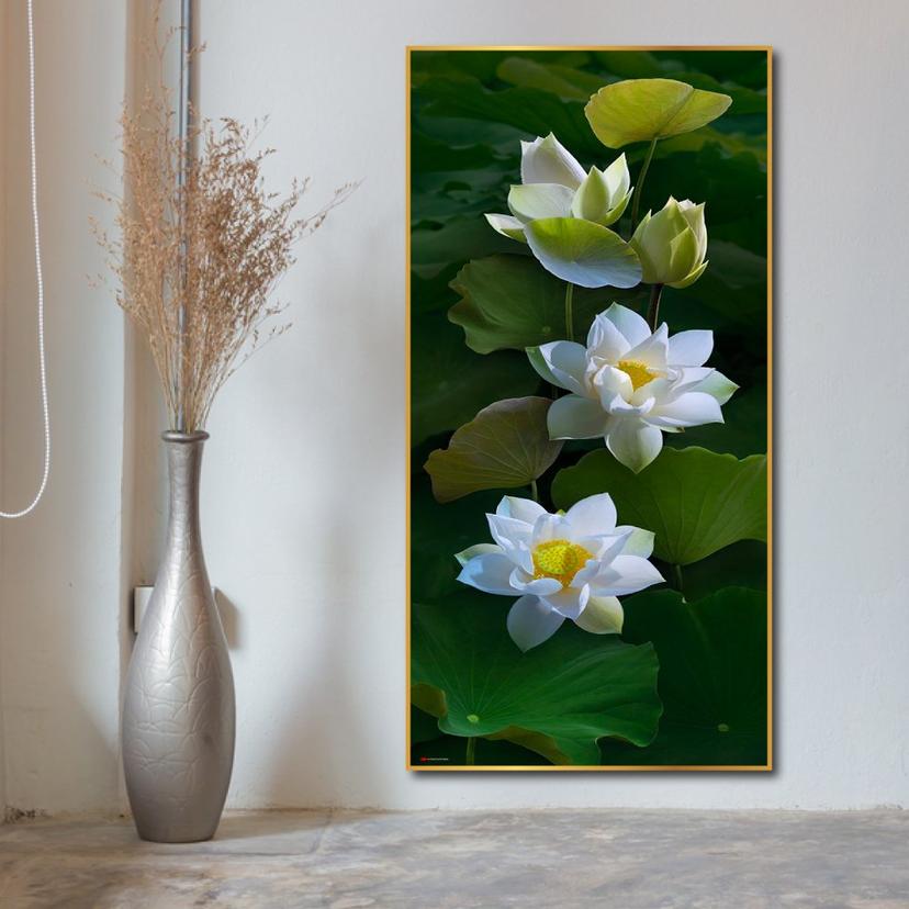 Ảnh sản phẩm