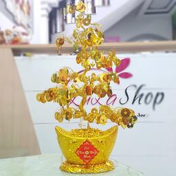Ảnh sản phẩm