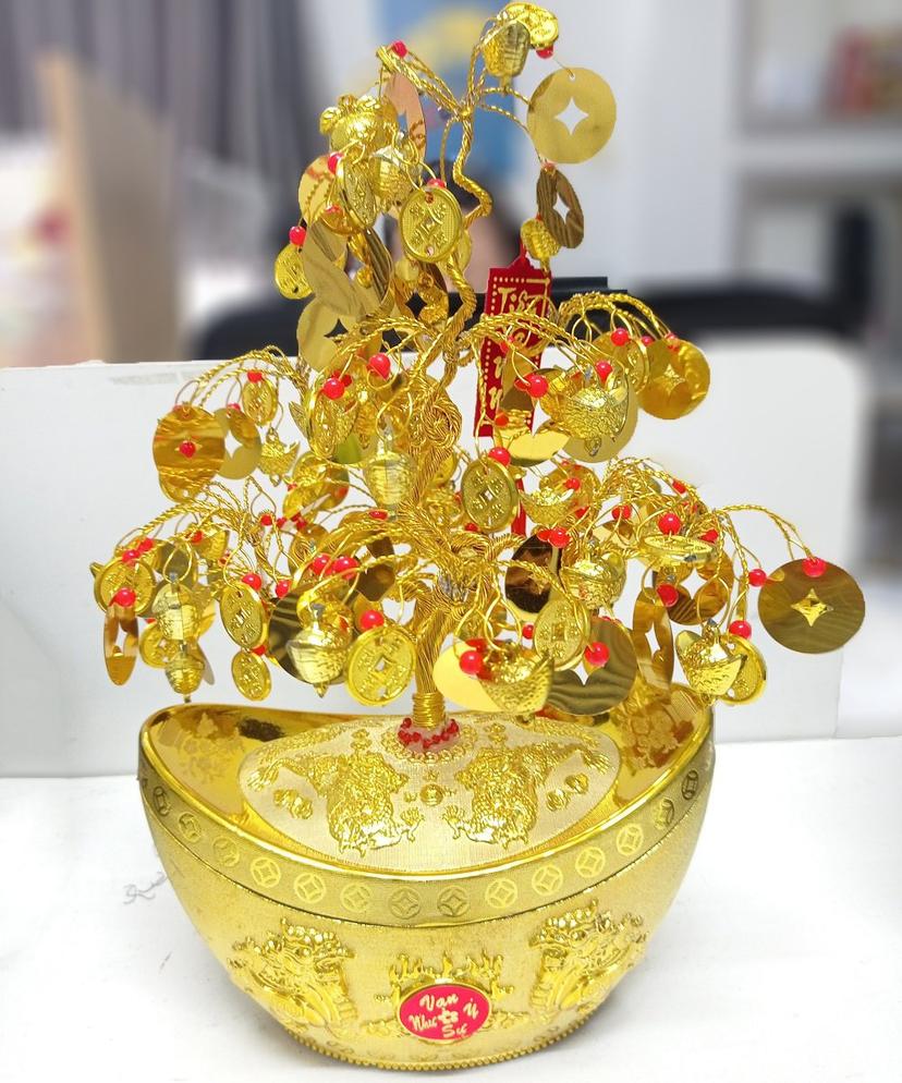 Ảnh sản phẩm