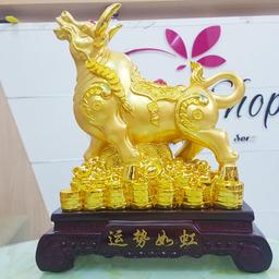 Ảnh sản phẩm