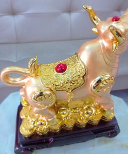 Ảnh sản phẩm