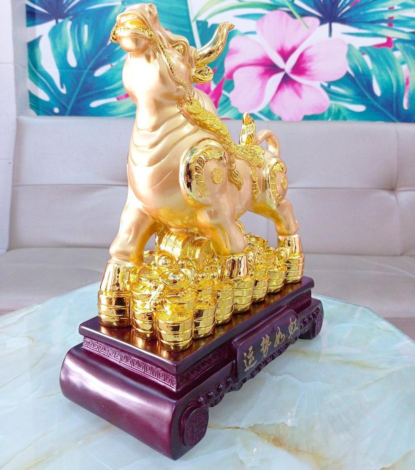 Ảnh sản phẩm