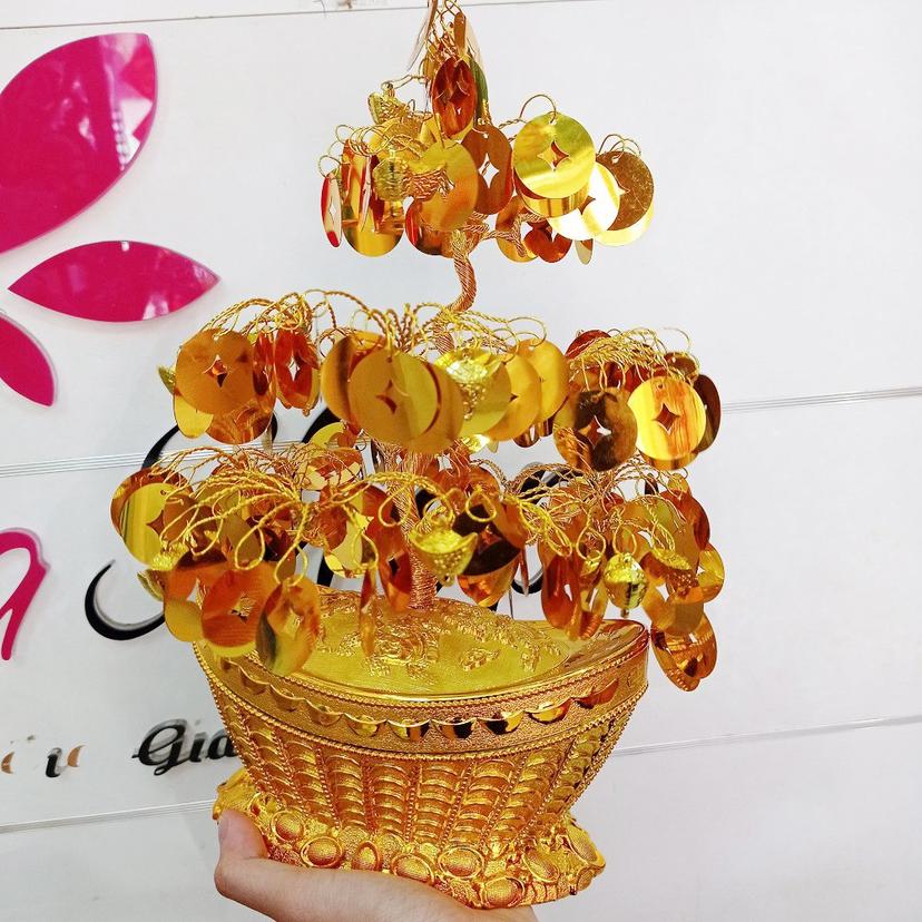 Ảnh sản phẩm