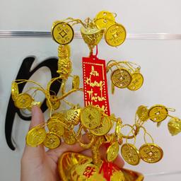 Ảnh sản phẩm