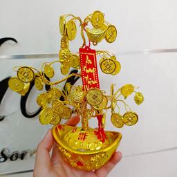 Ảnh sản phẩm