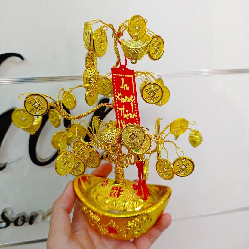 Ảnh sản phẩm