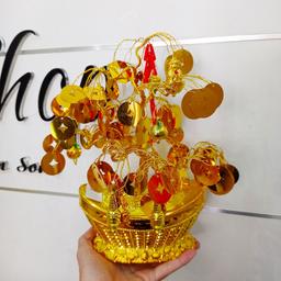 Ảnh sản phẩm