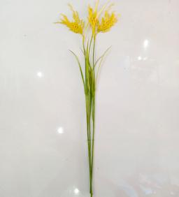 Ảnh sản phẩm