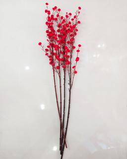 Ảnh sản phẩm