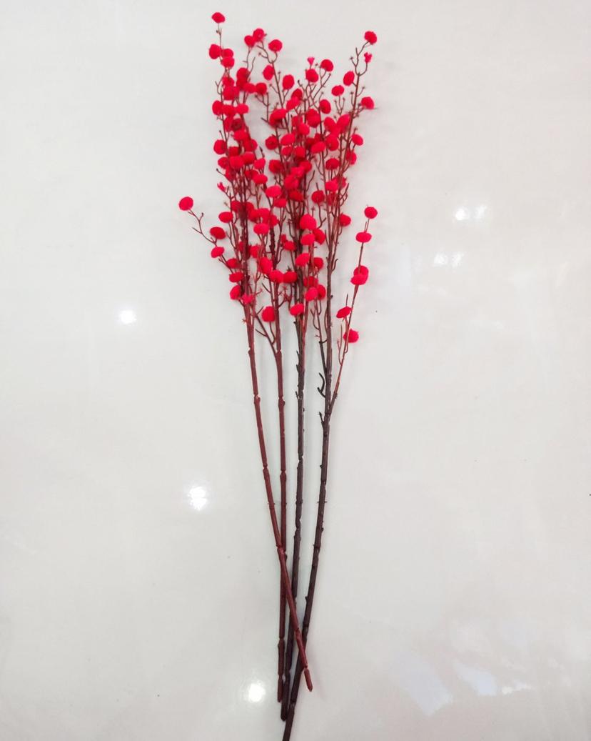 Ảnh sản phẩm