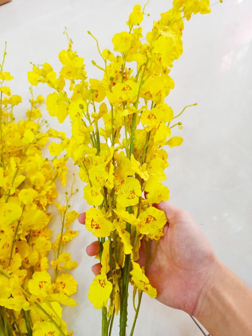 Ảnh sản phẩm