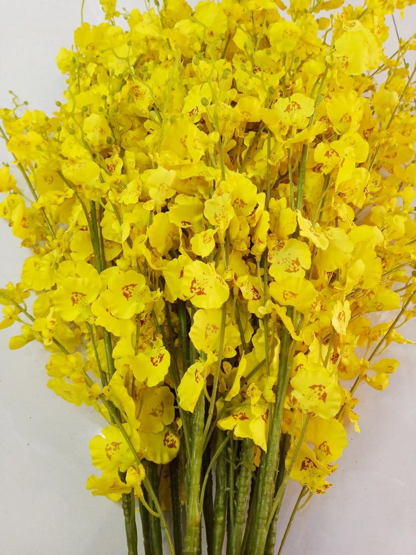 Ảnh sản phẩm