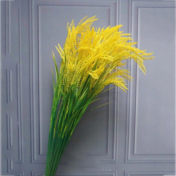 Ảnh sản phẩm