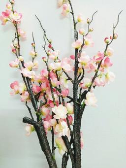 Ảnh sản phẩm