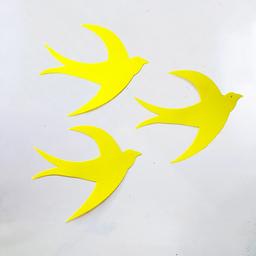 Ảnh sản phẩm