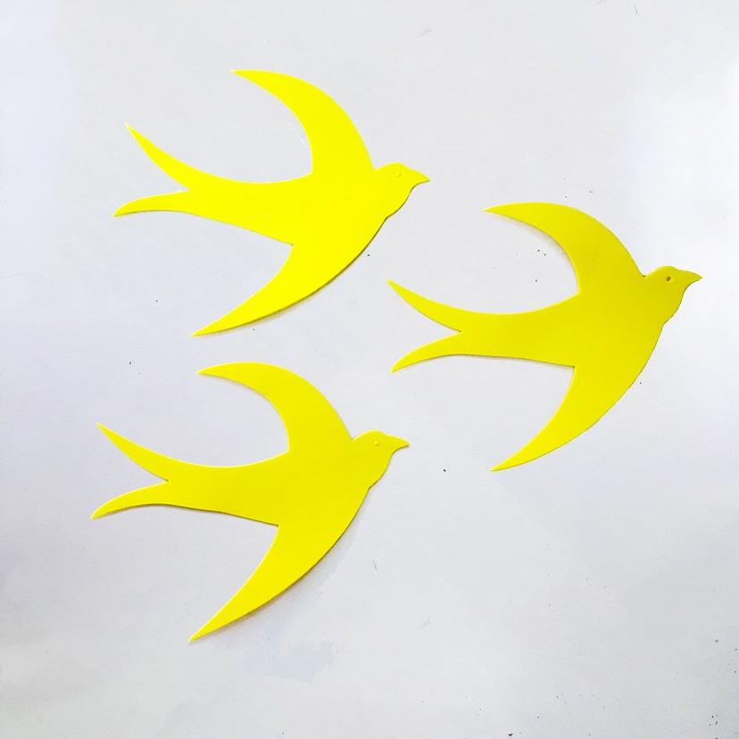 Ảnh sản phẩm