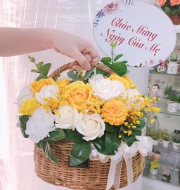 Ảnh sản phẩm