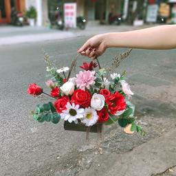 Ảnh sản phẩm