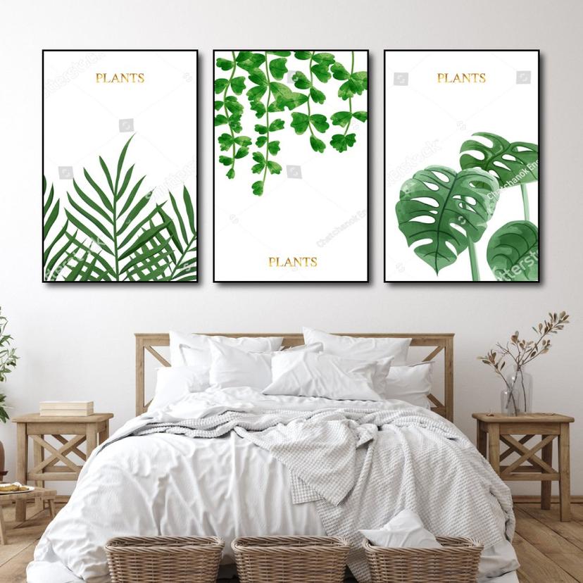 Ảnh sản phẩm