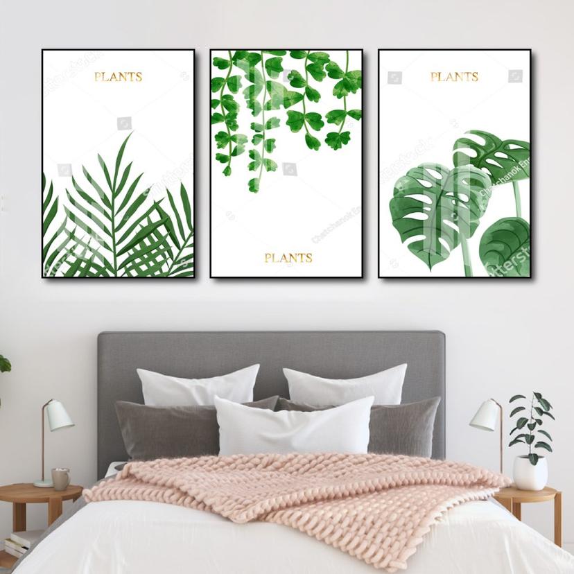 Ảnh sản phẩm