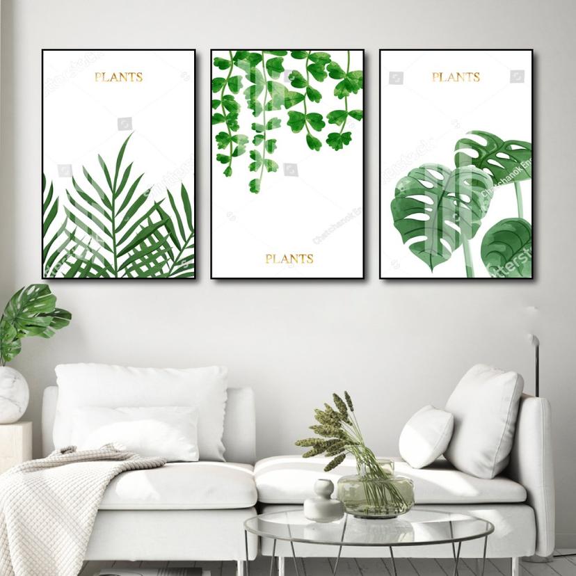 Ảnh sản phẩm
