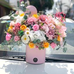 Ảnh sản phẩm
