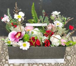 Ảnh sản phẩm